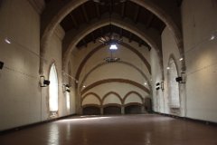 01 Palais Rois de Majorque (29)