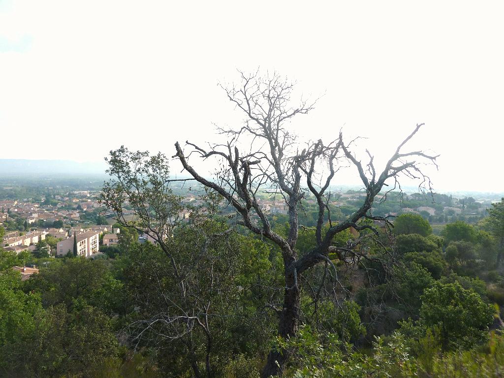 P1070849.JPG