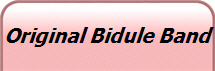 Original Bidule Band